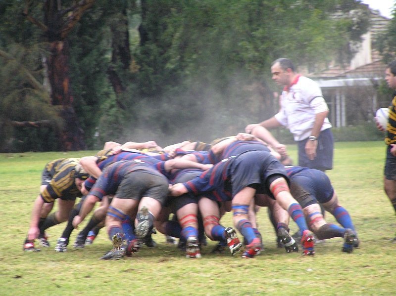 1st XV scrum